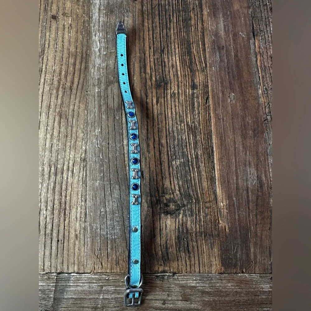 Blue Dog Collar with Silver Accents
